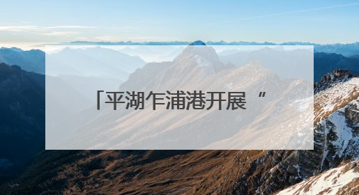 平湖乍浦港开展“潮涌东方·港城新韵”2025年浙江美术名家采风活动