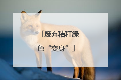 废弃秸秆绿色“变身”