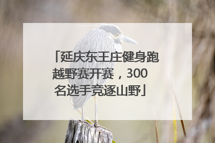 延庆东王庄健身跑越野赛开赛，300名选手竞逐山野