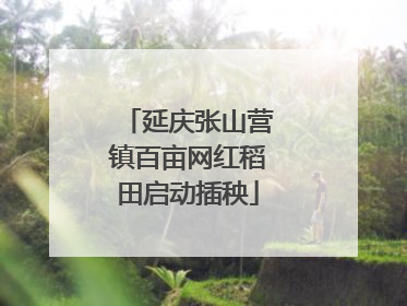 延庆张山营镇百亩网红稻田启动插秧