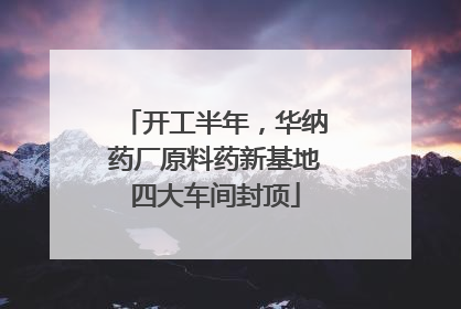 开工半年，华纳药厂原料药新基地四大车间封顶