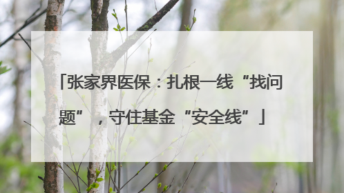 张家界医保：扎根一线“找问题”，守住基金“安全线”