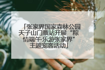 张家界国家森林公园天子山门票站开展“粽情端午·乐游张家界”主题宠客活动