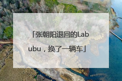 张朝阳退回的Labubu，换了一辆车