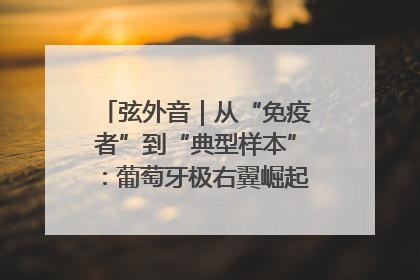 弦外音｜从“免疫者”到“典型样本”：葡萄牙极右翼崛起背后的欧洲困局