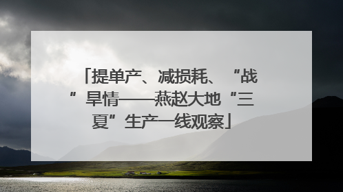 提单产、减损耗、“战”旱情——燕赵大地“三夏”生产一线观察