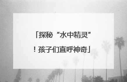 探秘“水中精灵”！孩子们直呼神奇