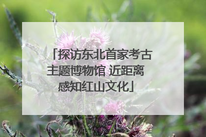 探访东北首家考古主题博物馆 近距离感知红山文化