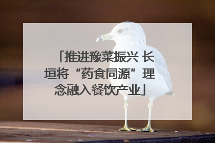 推进豫菜振兴 长垣将“药食同源”理念融入餐饮产业