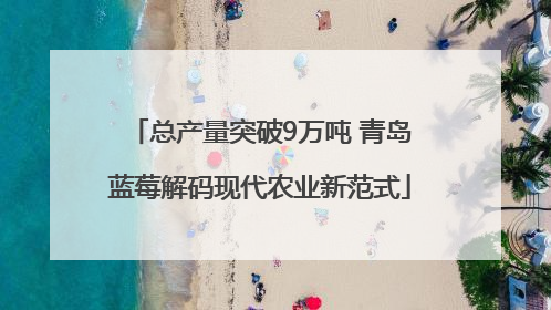 总产量突破9万吨 青岛蓝莓解码现代农业新范式