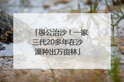愚公治沙！一家三代20多年在沙漠种出万亩林