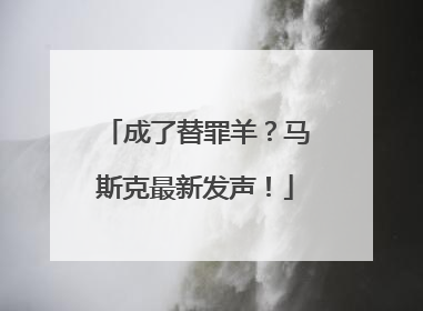 成了替罪羊？马斯克最新发声！