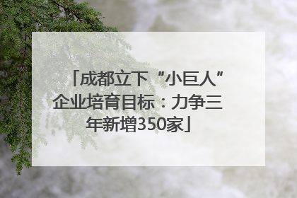 成都立下“小巨人”企业培育目标：力争三年新增350家