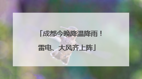 成都今晚降温降雨！雷电、大风齐上阵