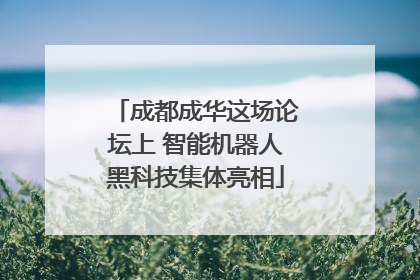 成都成华这场论坛上 智能机器人黑科技集体亮相