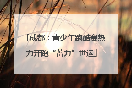 成都：青少年跑酷赛热力开跑“蓄力”世运