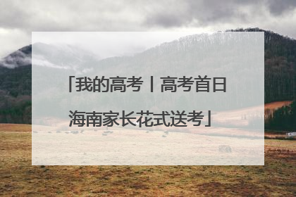 我的高考丨高考首日 海南家长花式送考
