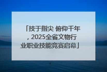 技于指尖 俯仰千年，2025全省文物行业职业技能竞赛启幕