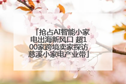 抢占AI智能小家电出海新风口 超100家跨境卖家探访慈溪小家电产业带
