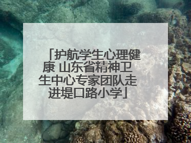 护航学生心理健康 山东省精神卫生中心专家团队走进堤口路小学