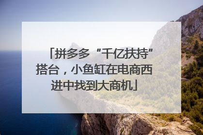 拼多多“千亿扶持”搭台，小鱼缸在电商西进中找到大商机