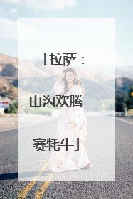拉萨：山沟欢腾赛牦牛