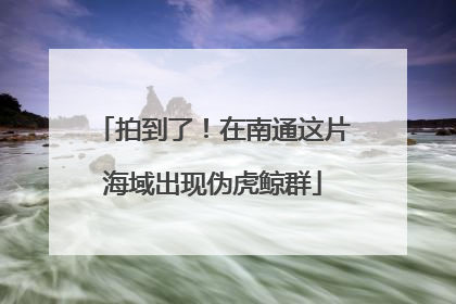 拍到了！在南通这片海域出现伪虎鲸群