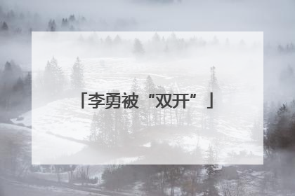 李勇被“双开”