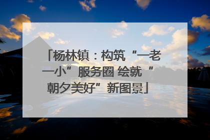 杨林镇：构筑“一老一小”服务圈 绘就“朝夕美好”新图景
