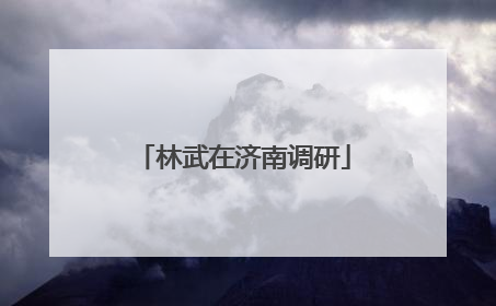 林武在济南调研
