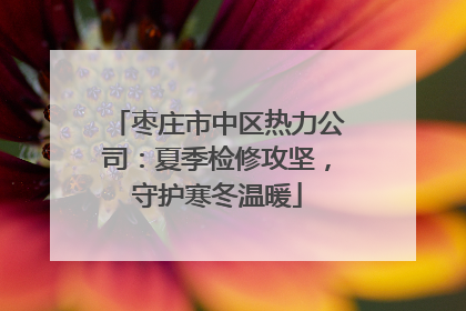 枣庄市中区热力公司：夏季检修攻坚，守护寒冬温暖