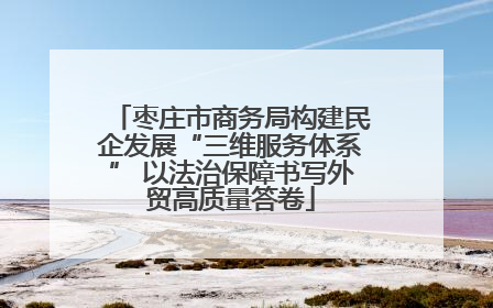 枣庄市商务局构建民企发展“三维服务体系” 以法治保障书写外贸高质量答卷