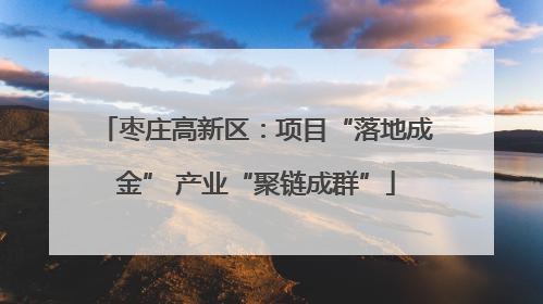 枣庄高新区：项目“落地成金” 产业“聚链成群”