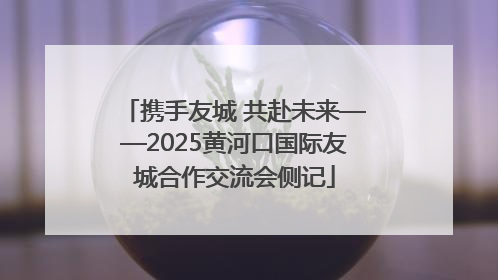 携手友城 共赴未来——2025黄河口国际友城合作交流会侧记