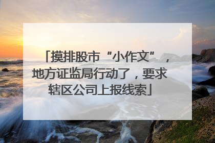 摸排股市“小作文”，地方证监局行动了，要求辖区公司上报线索