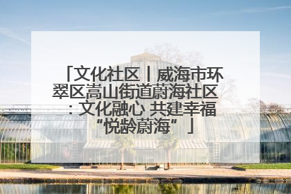 文化社区丨威海市环翠区嵩山街道蔚海社区：文化融心 共建幸福“悦龄蔚海”