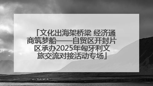 文化出海架桥梁 经济通商筑梦船——自贸区开封片区承办2025年匈牙利文旅交流对接活动专场