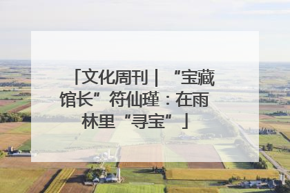 文化周刊｜“宝藏馆长”符仙瑾：在雨林里“寻宝”