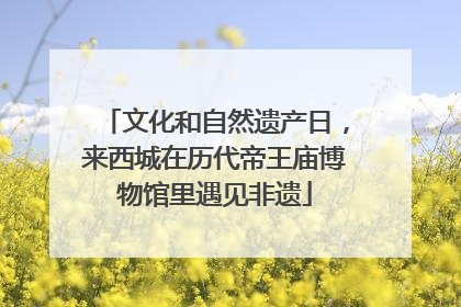 文化和自然遗产日，来西城在历代帝王庙博物馆里遇见非遗