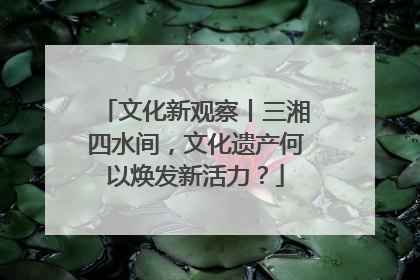 文化新观察丨三湘四水间，文化遗产何以焕发新活力？