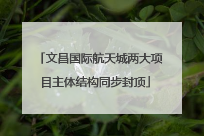 文昌国际航天城两大项目主体结构同步封顶