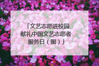 文艺志愿进校园 献礼中国文艺志愿者服务日（图）