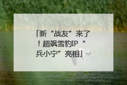 新“战友”来了！超飒雪豹IP“兵小宁”亮相