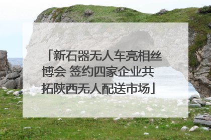 新石器无人车亮相丝博会 签约四家企业共拓陕西无人配送市场