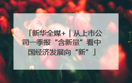 新华全媒+｜从上市公司一季报“含新量”看中国经济发展向“新”