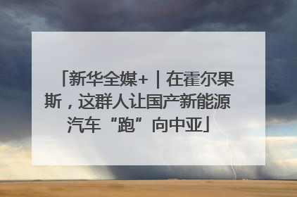 新华全媒+｜在霍尔果斯，这群人让国产新能源汽车“跑”向中亚