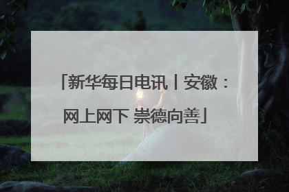 新华每日电讯丨安徽：网上网下 崇德向善