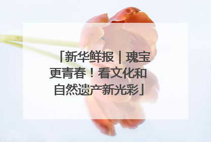 新华鲜报｜瑰宝更青春！看文化和自然遗产新光彩