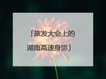 旅发大会上的湖南高速身影