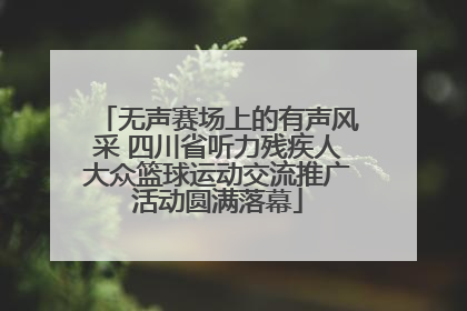 无声赛场上的有声风采 四川省听力残疾人大众篮球运动交流推广活动圆满落幕
